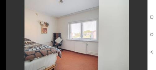 Room for rent 600 euro IJsselstraat, Middelburg