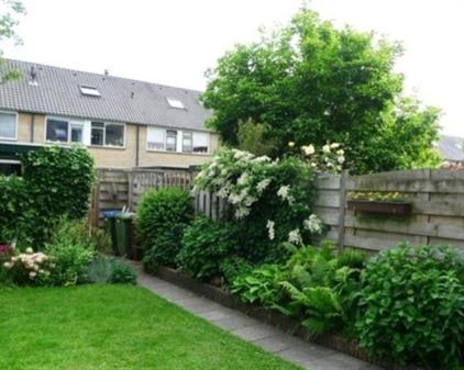 Kamer te huur 450 euro Hof van Putten, Bennekom