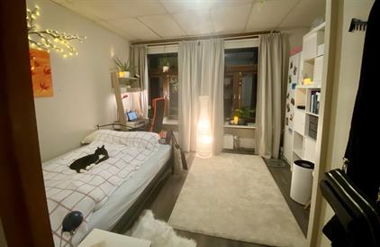 Kamer te huur 350 euro Billitonstraat, Enschede