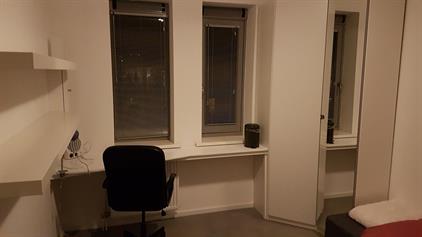Room for rent 600 euro Zilverhof, Groningen