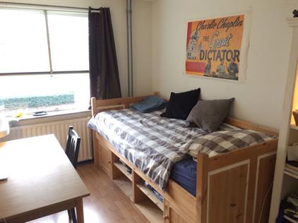 Room for rent 485 euro Generaal de Wetstraat, Tilburg