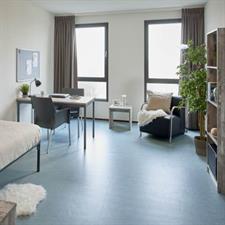 Studio for rent 700 euro Cornelis Lelylaan, Amsterdam