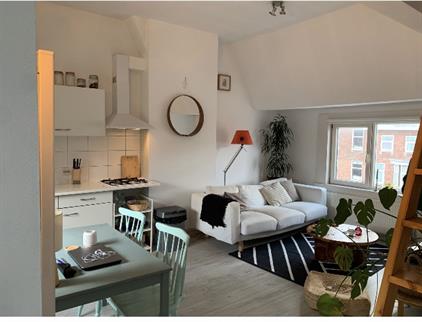 Appartement te huur 700 euro Beukelsweg, Rotterdam