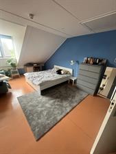 Anti-squat for rent 320 euro Paul Steenbergenlaan, Den Haag