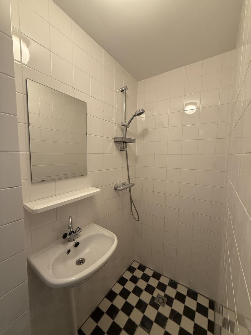 Appartement aan Cornelis Springerstraat, Amsterdam 5