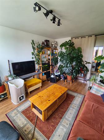 Zimmer bei Ebrodreef In Utrecht