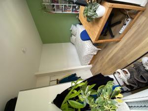 Room for rent 620 euro Lumeystraat, Rotterdam