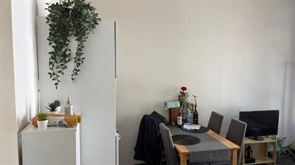 Room for rent 650 euro van Berchenstraat, Nijmegen