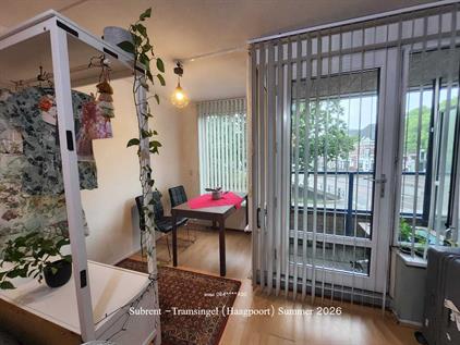 Studio for rent 650 euro Tramsingel, Breda