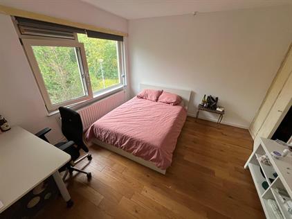 Kamer te huur 500 euro Ranonkelstraat, Groningen