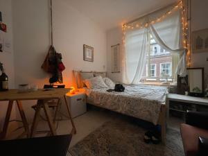 Kamer te huur 450 euro Peperstraat, Delft