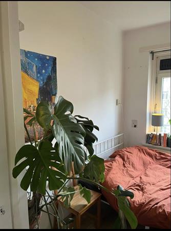 Zimmer bei Erik de Roodestraat In Amsterdam
