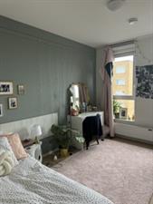 Room for rent 790 euro Antaresstraat, Groningen