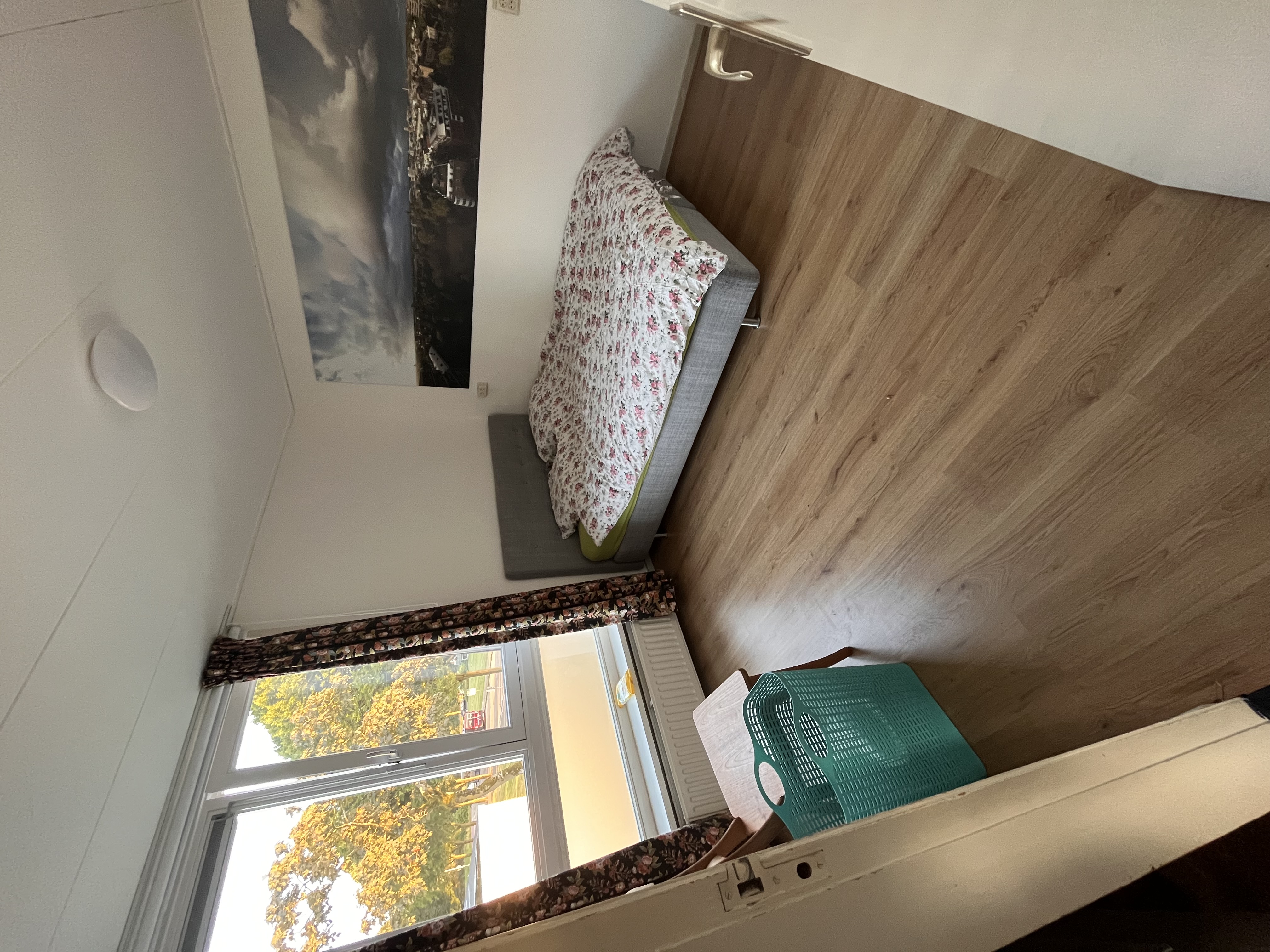 Goeman Borgesiusstraat