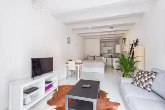 Apartment for rent 900 euro Koestraat, Amsterdam