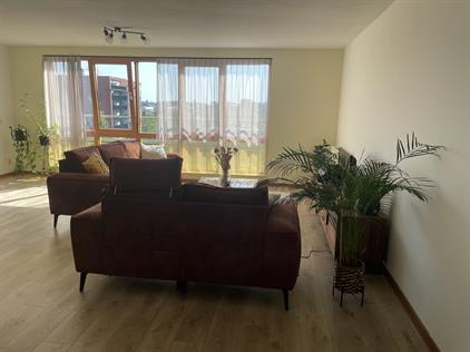 Room for rent 1500 euro Hodenpijlstraat, Zoetermeer