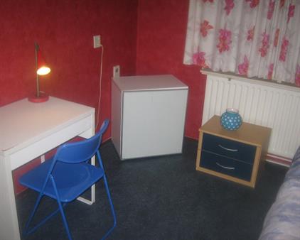 Kamer te huur 400 euro Bikolaan, Delft