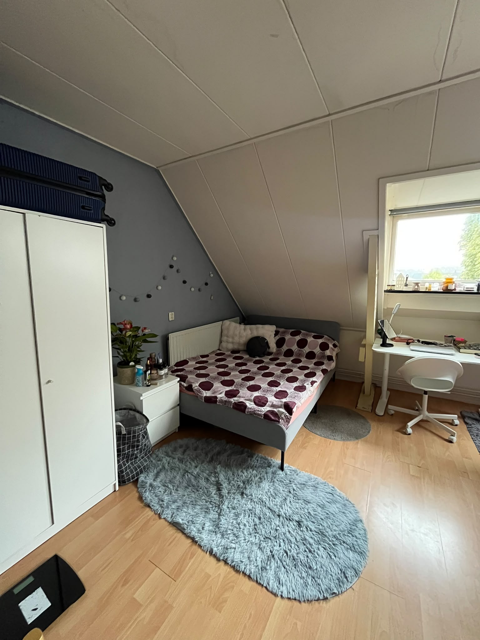 Kamer te huur in Enschede – Lipperkerkstraat – foto 1
