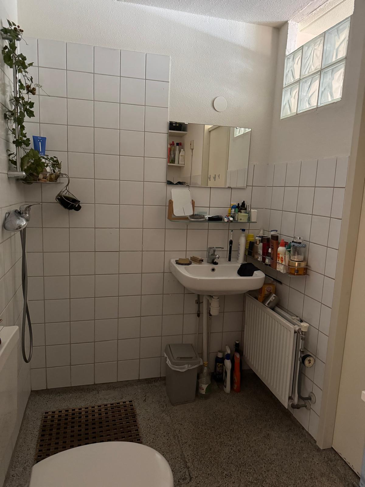 Studio te huur in Amsterdam – Bickersgracht – foto 4