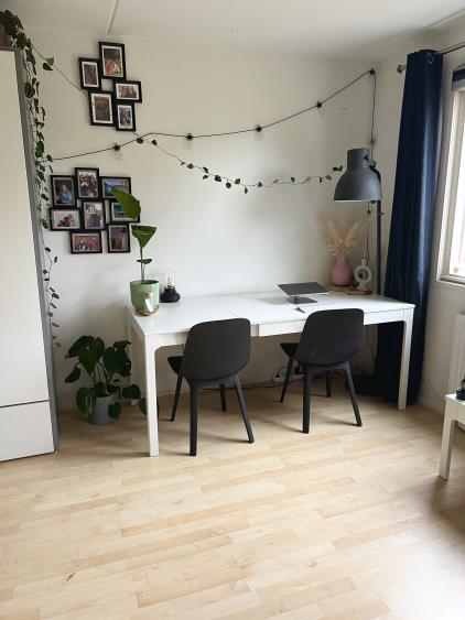 Room for rent 460 euro Kooikersweg, Den Bosch