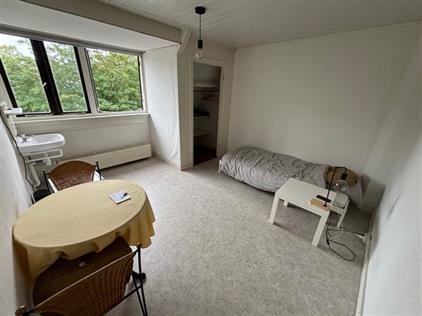 Kamer te huur 650 euro Johan de Wittlaan, Arnhem