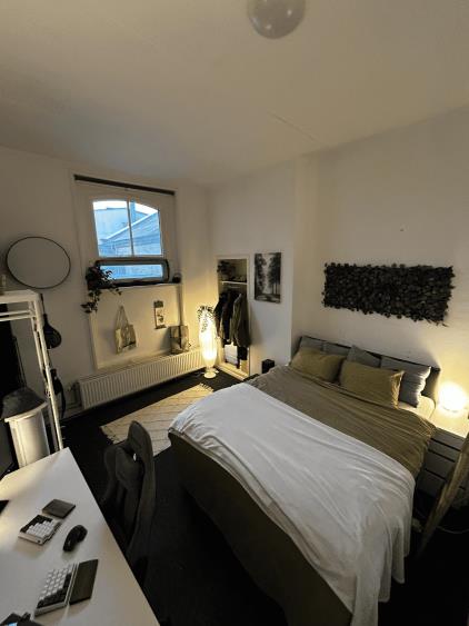 Room for rent 400 euro Haverstraatpassage, Enschede