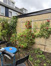 Kamer te huur 450 euro Pelleaspad, Amersfoort