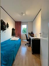 Room for rent 670 euro Goudplevier, IJsselstein