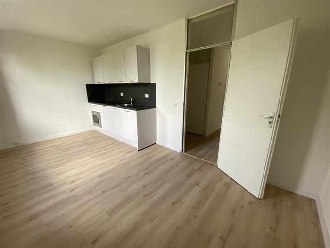 Zimmer bei Fongersplaats In Groningen