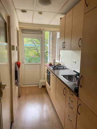 Zimmer bei Florakade In Groningen