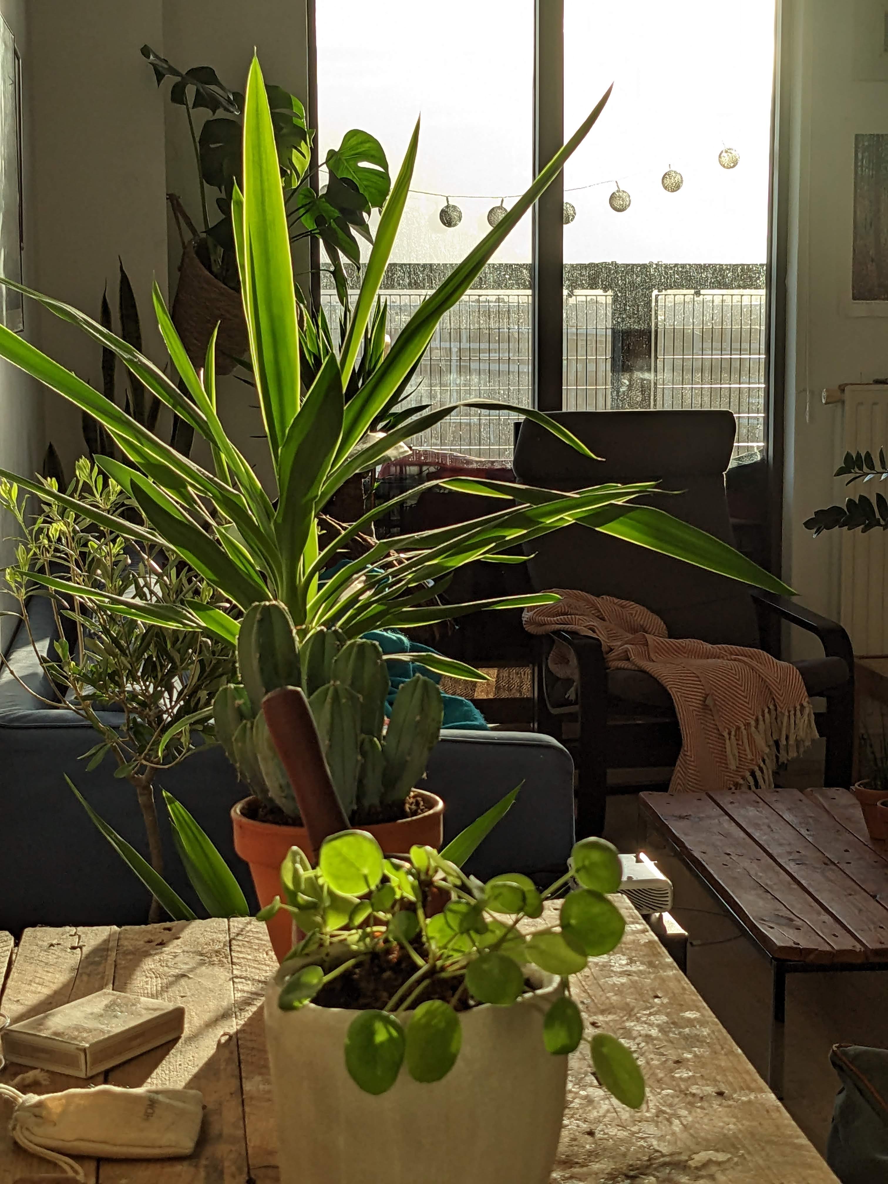 Kamer te huur in Amsterdam – R.J.H. Fortuynplein – foto 2