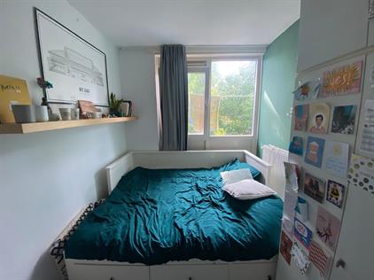 Room for rent 365 euro Snelliusstraat, Groningen