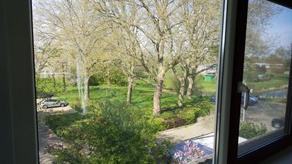 Room for rent 500 euro Weezenhof, Nijmegen