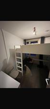 Room for rent 395 euro Petrus Driessenstraat, Groningen