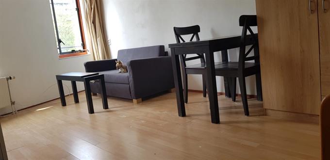 Studio bei Lontarpalmstraat In Amsterdam
