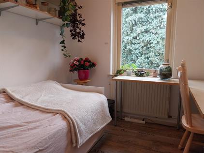 Room for rent 280 euro Antiloopstraat, Nijmegen