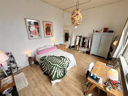 Room for rent 500 euro Spoorsingel, Delft