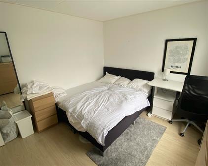 Kamer te huur 730 euro Jaffa, Rotterdam