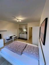 Studio for rent 950 euro Van Hallstraat, Delft