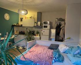 Studio for rent 490 euro Bleeklaan, Leeuwarden