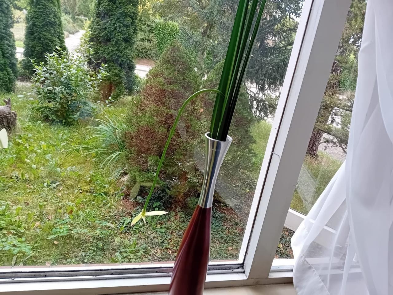 Kamer te huur in Ruurlo – Molenlaan – foto 2