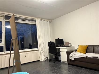 Room for rent 999 euro Wilgenhoek, Capelle aan den IJssel