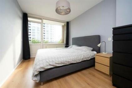 Room for rent 750 euro Kritostraat, Rotterdam