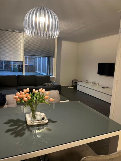 Room for rent 500 euro Albert Cuypstraat, Enschede