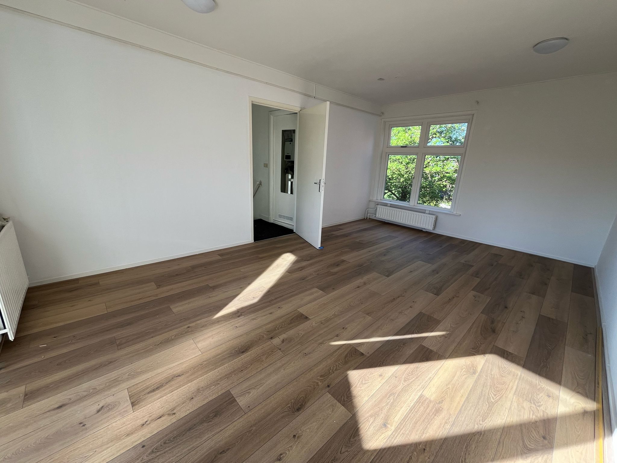 Bernoulliplein, Groningen foto 5