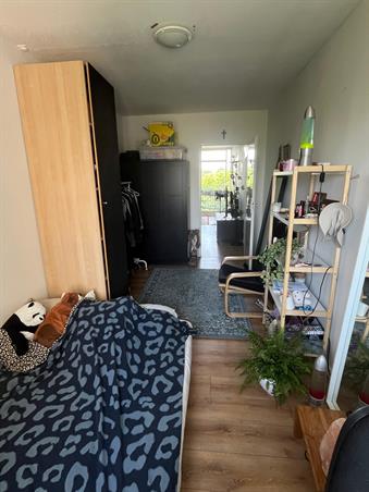 Zimmer bei Gouden Leeuw In Amsterdam