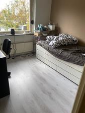 Room for rent 450 euro Ringlaan, Wijchen