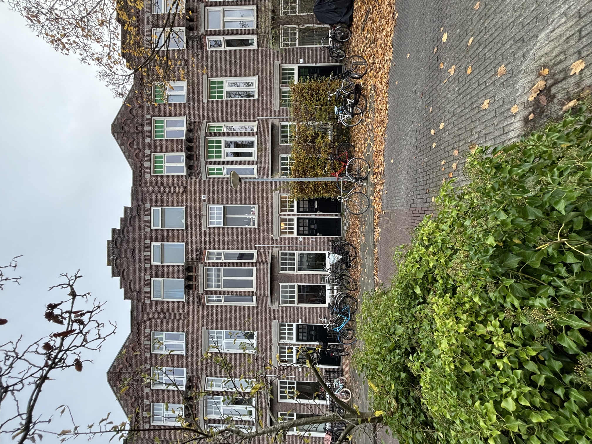 Anna Paulownastraat