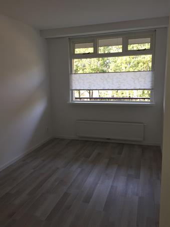 Zimmer bei Thorbeckestraat In Wageningen