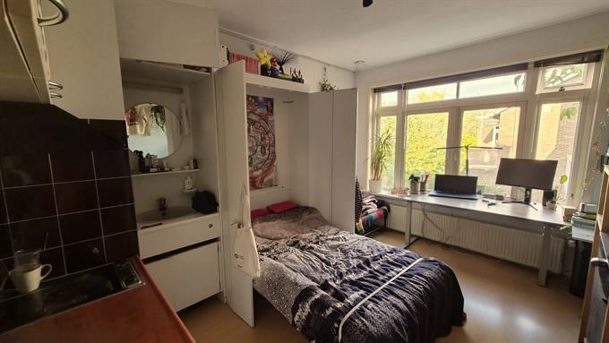 Kamer in Utrecht, Da Costakade op Kamernet.nl: Rustige studio bij Centrum-toegang tot balkon